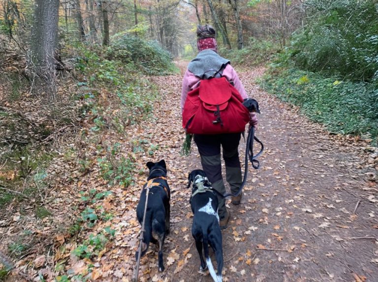 Hundetraining-und-mehr-Claudia-Bruckhaus_Wanderungen-2